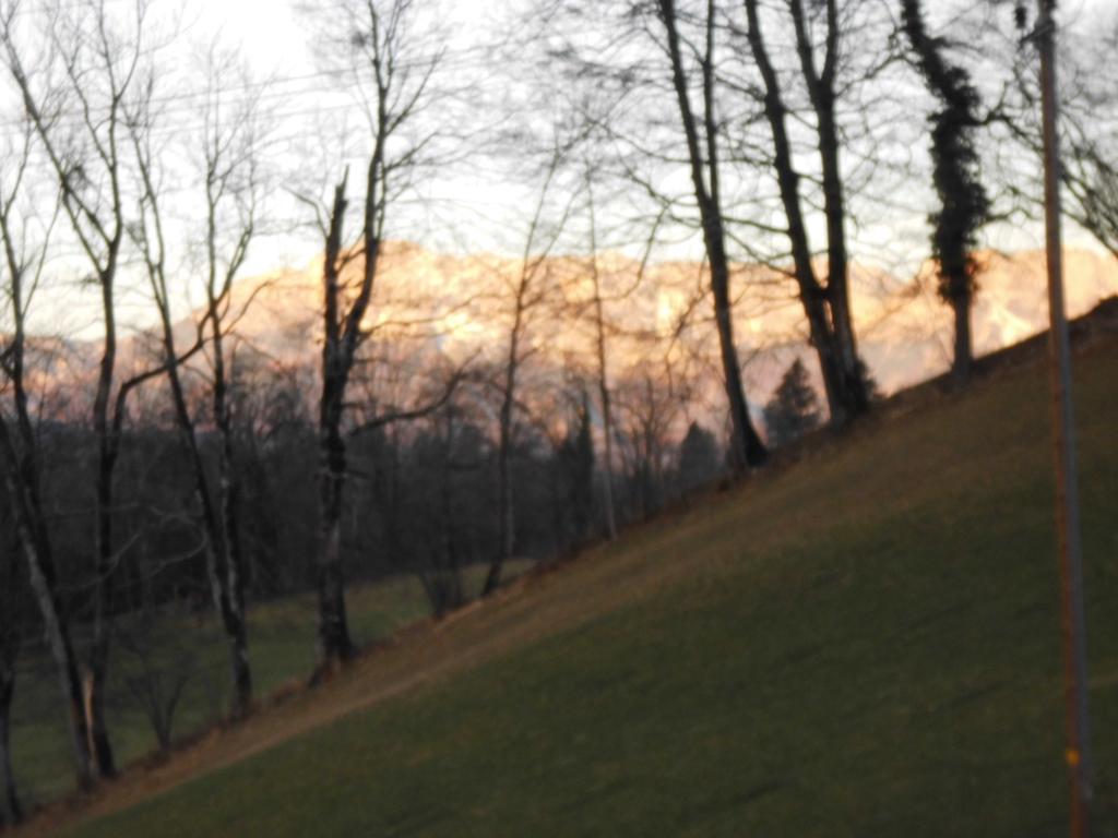 Gollblick Daire Sankt Koloman Dış mekan fotoğraf